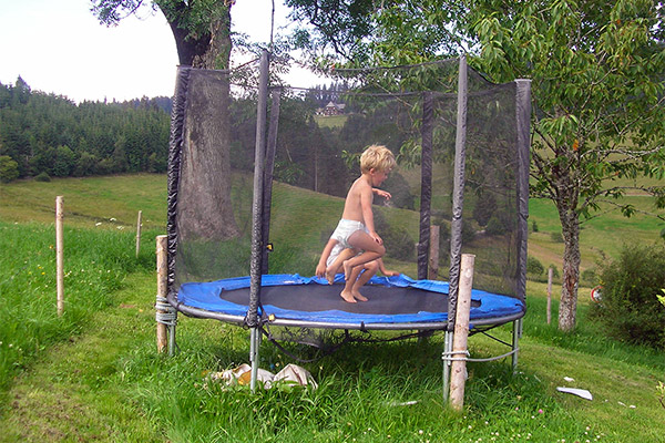 Black Forest farm "Rutscherhof" in Breitnau