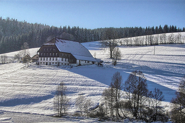 Black Forest farm "Rutscherhof" in Breitnau