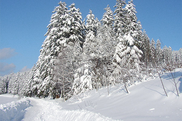 Breitnau im Hochschwarzwald