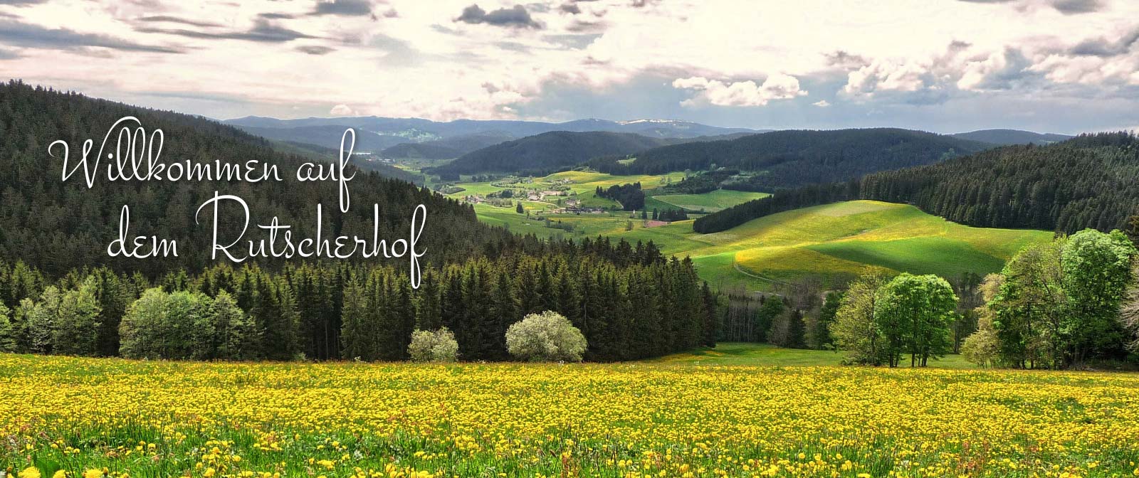 Rutscherhof - Farm holidays in the Black Forest Germany