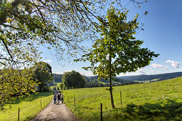 Herrliche Wanderwege